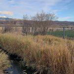 Salmon Valley Ranching (PC: IDWR)