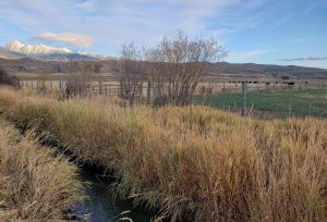 Salmon Valley Ranching (PC: IDWR)