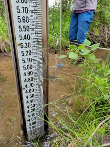 Lemhi Little Springs stream gage (PC: IDWR)