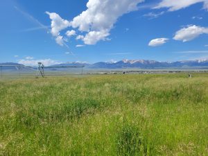 Pivot and Lemhi Mountains (PC: IDWR)