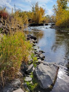 Lemhi River, L-6 2021 Low Water