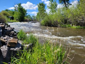 Lemhi River L-6, 2022 High Water