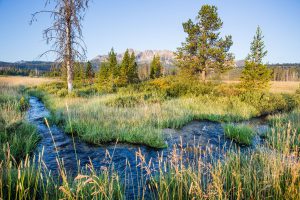 AcquisitionMeadowCreek