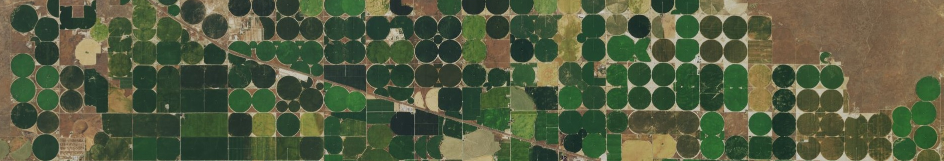 Aerial view of pivot irrigated farmland